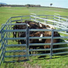 Galvanized Welded Cattle Panel Xm-001